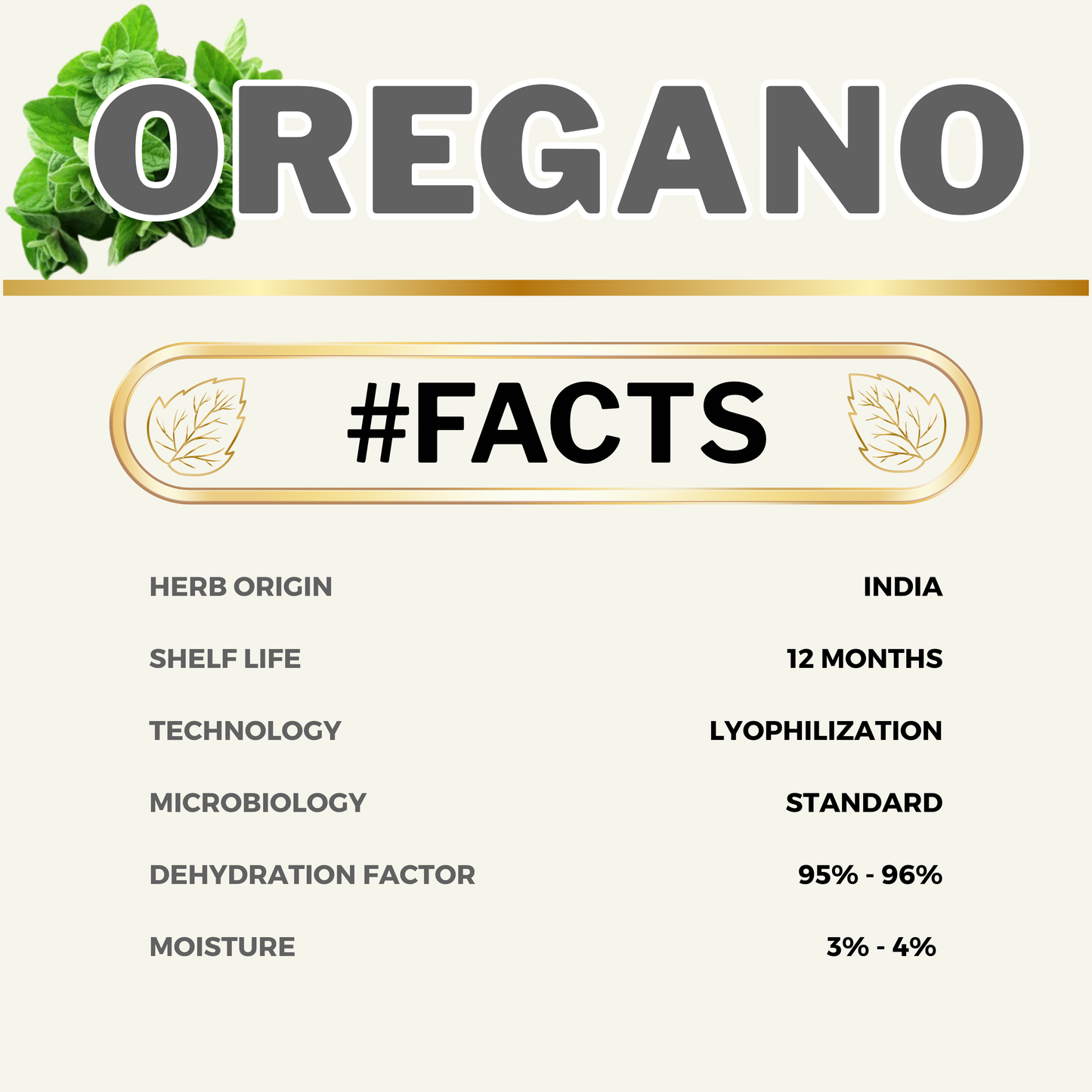 FREEZE DRIED OREGANO HERB || Hand Picked | Hand Sorted | Premium Herb | Experience the Deeper Aroma & Strong Natural Flavour